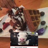 Hot Pumpkin Waffles with Housemade Ice Cream | ¡Qué rico! Lo recomiendo. 🧇🤤😋 at El Grifo in Caguas