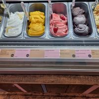 All vegan (except for the far right one) at La Gelatiera in London