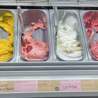 All the vegan options  at La Gelatiera in London