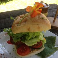 the falafel burger at Driving Creek Cafe and Organics in Coromandel