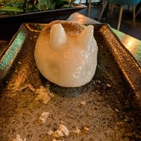 Cute bunny at Jade Rabbit in Portland