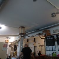 The place with one of the cats in her bed under the roof at Katzentempel - Nürnberg in Nuremberg