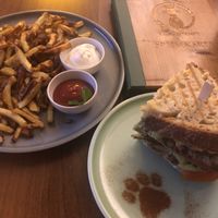   at Katzentempel - Nürnberg in Nuremberg