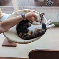 Elli at Katzentempel - Nürnberg in Nuremberg