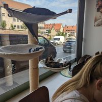  at Katzentempel - Nürnberg in Nuremberg