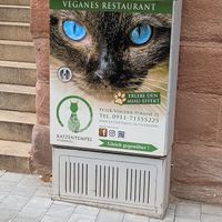  at Katzentempel - Nürnberg in Nuremberg