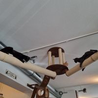  at Katzentempel - Nürnberg in Nuremberg