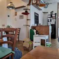  at Katzentempel - Nürnberg in Nuremberg