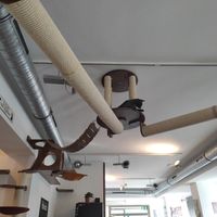 😻 at Katzentempel - Nürnberg in Nuremberg