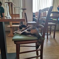  at Katzentempel - Nürnberg in Nuremberg