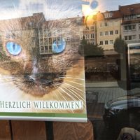 Outside window at Katzentempel - Nürnberg in Nuremberg