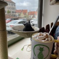 Vegan hot chocolate   at Katzentempel - Nürnberg in Nuremberg