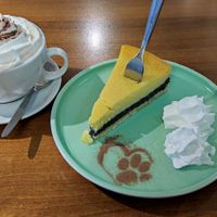  at Katzentempel - Nürnberg in Nuremberg