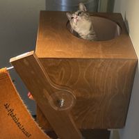   at Katzentempel - Nürnberg in Nuremberg