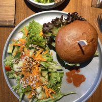   at Katzentempel - Nürnberg in Nuremberg