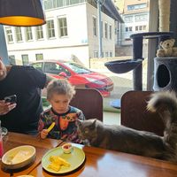  at Katzentempel - Nürnberg in Nuremberg