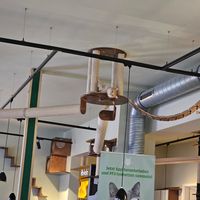  at Katzentempel - Nürnberg in Nuremberg