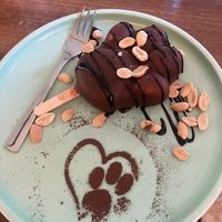   at Katzentempel - Nürnberg in Nuremberg