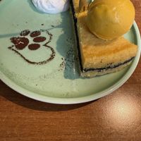   at Katzentempel - Nürnberg in Nuremberg