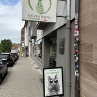   at Katzentempel - Nürnberg in Nuremberg