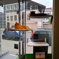  at Katzentempel - Nürnberg in Nuremberg