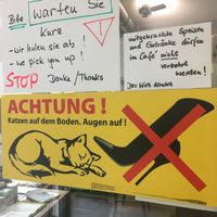 Wait in hallway for someone to let you inside.  at Katzentempel - Nürnberg in Nuremberg