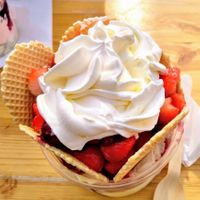 Giga size: 5 different large ice cream scoops, large scoop mixed fresh fruit, 5 wafers, 2 large scoops mixed fresh fruit, whipped cream. at Wingbergerhoeve IJS & Fruit in Vijlen