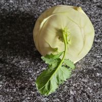  at  Bio-Fachgeschaft s'Druegg in Zurich