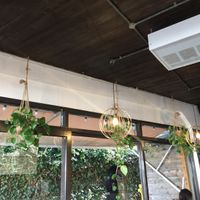 Gorgeous macrame planters & leafy window view 🍃🥰 at The Squeeze in Southend-on-sea
