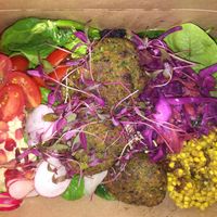 Beautiful rainbow falafel bowl! 🌈🤩 at The Squeeze in Southend-on-sea