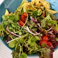 lunch at Veggie Cafe in Albufeira