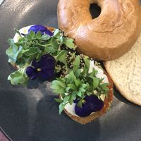 Hummus filed avocado & bagel  at The Avocado Show - Stalpertstraat in Amsterdam