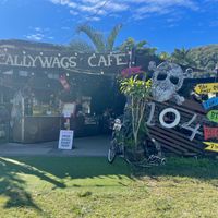 Scallywags at Scallywags Cafe in Magnetic Island