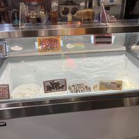 7 vegan flavors!  at Shy Giant Frozen Yogurt in Seattle