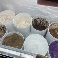 Coconut milk based!  at Shy Giant Frozen Yogurt in Seattle