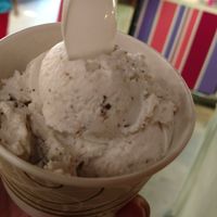 Super Creamy and Very Delicious!! at Shy Giant Frozen Yogurt in Seattle