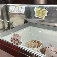 At least 4 vegan ice creams and one frozen yogurt option (chocolate)   at Shy Giant Frozen Yogurt in Seattle