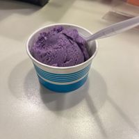 Small scoop ube   at Shy Giant Frozen Yogurt in Seattle