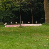 Yoga en brunch in het park at ETN saladebar in Enschede