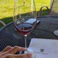  at Karlo Estates in Wellington