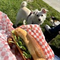 Vegan meat banh mi sandwich   at Saigon Lotus in Toronto