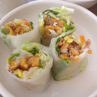 Spring rolls at Saigon Lotus in Toronto