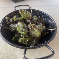 Pimientos de patron  at Bistro Can Pa in Ibiza