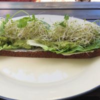   at Spiregarden in Kristiansand