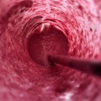 Fountain of youth smoothie  at Spiregarden in Kristiansand