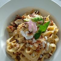 tagiatelle at Moringa in Augustow