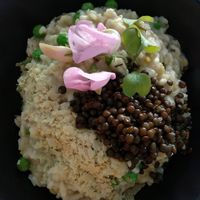 vegan risotto at Moringa in Augustow