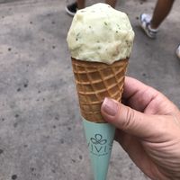 Like and Basil vegan (zing with fresh, tart flavor)  at Vivi's Creamery in Ibiza