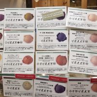 Vegan choice of flavours at Premarché Gelateria in Kyoto