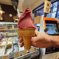 Blueberry and honey🐝 at Premarché Gelateria in Kyoto